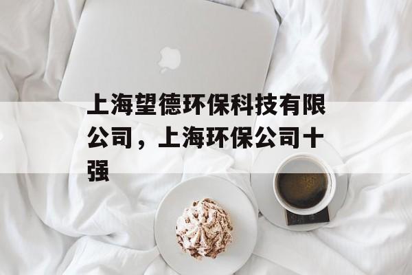 上海望德环保科技有限公司，上海环保公司十强-第1张图片-
