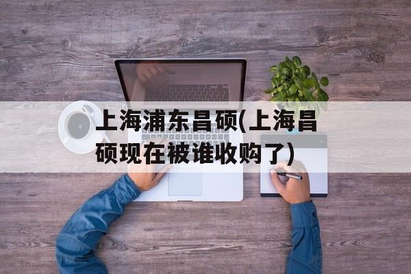 上海浦东昌硕(上海昌硕现在被谁收购了)-第1张图片-