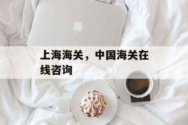 上海海关，中国海关在线咨询-第1张图片-