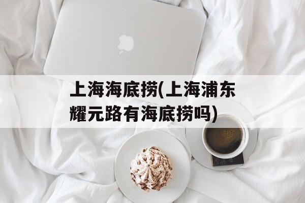 上海海底捞(上海浦东耀元路有海底捞吗)-第1张图片-