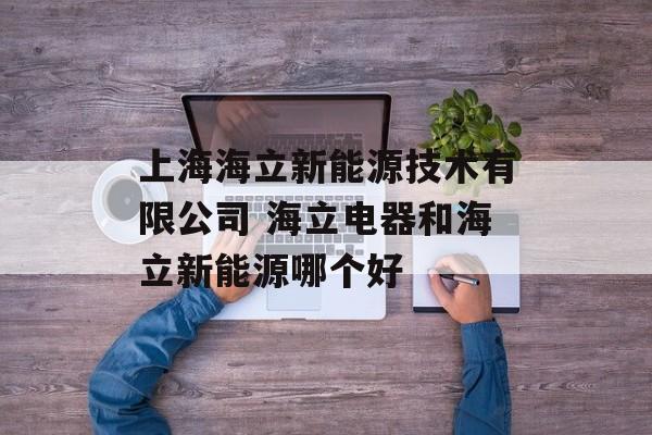 上海海立新能源技术有限公司 海立电器和海立新能源哪个好-第1张图片-