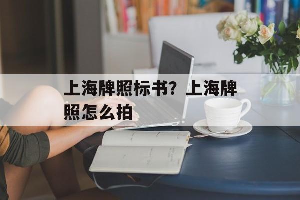 上海牌照标书？上海牌照怎么拍-第1张图片-