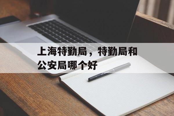 上海特勤局，特勤局和公安局哪个好-第1张图片-