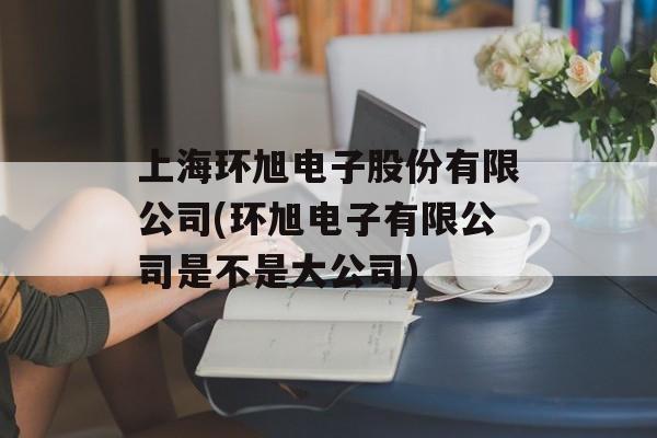 上海环旭电子股份有限公司(环旭电子有限公司是不是大公司)-第1张图片-