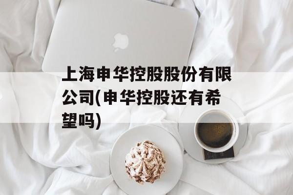 上海申华控股股份有限公司(申华控股还有希望吗)-第1张图片-