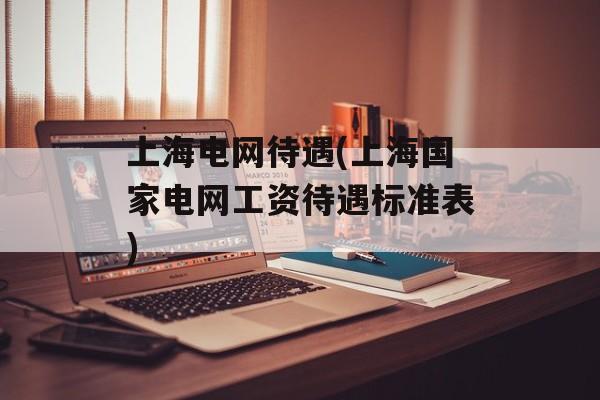上海电网待遇(上海国家电网工资待遇标准表)-第1张图片-