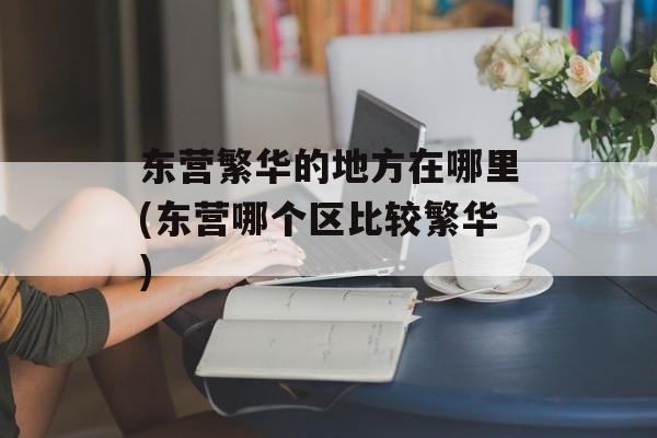 东营繁华的地方在哪里(东营哪个区比较繁华)-第1张图片-