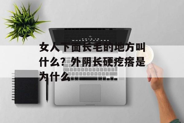女人下面长毛的地方叫什么？外阴长硬疙瘩是为什么-第1张图片-