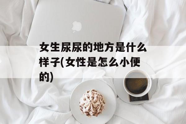 女生尿尿的地方是什么样子(女性是怎么小便的)-第1张图片-