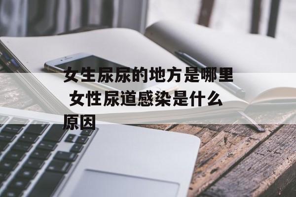 女生尿尿的地方是哪里 女性尿道感染是什么原因-第1张图片-