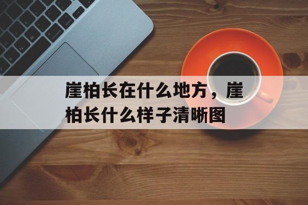 崖柏长在什么地方，崖柏长什么样子清晰图-第1张图片-