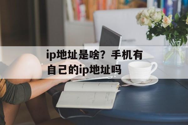 ip地址是啥？手机有自己的ip地址吗-第1张图片-