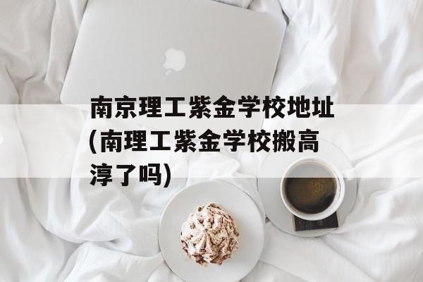 南京理工紫金学校地址(南理工紫金学校搬高淳了吗)-第1张图片-