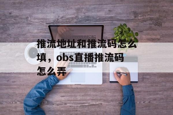 推流地址和推流码怎么填，obs直播推流码怎么弄-第1张图片-