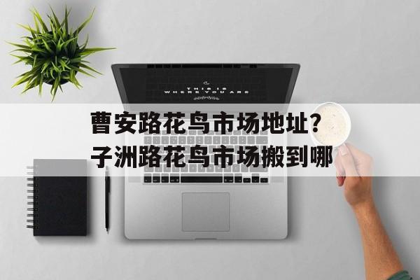 曹安路花鸟市场地址？子洲路花鸟市场搬到哪-第1张图片-