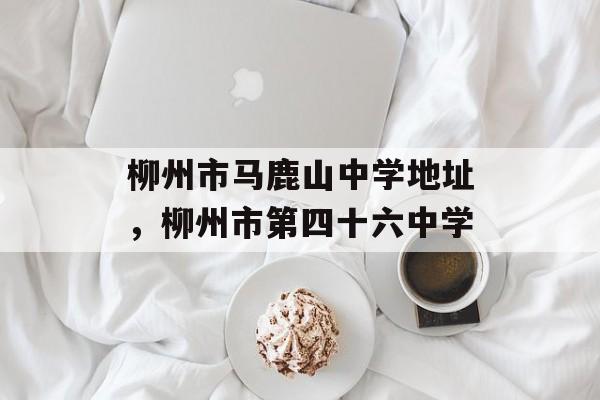柳州市马鹿山中学地址，柳州市第四十六中学-第1张图片-