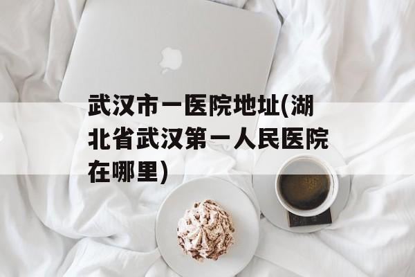 武汉市一医院地址(湖北省武汉第一人民医院在哪里)-第1张图片-