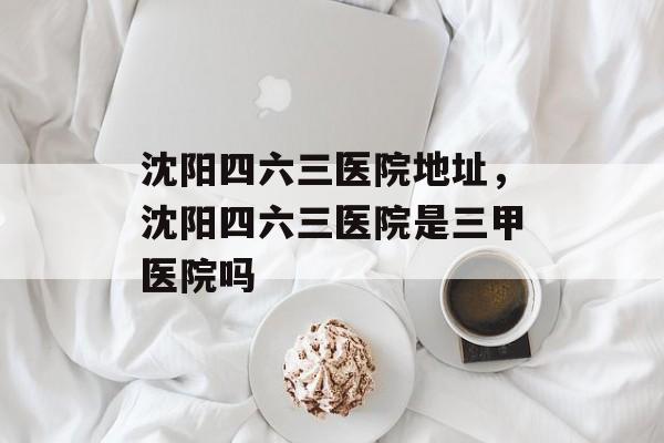沈阳四六三医院地址，沈阳四六三医院是三甲医院吗-第1张图片-