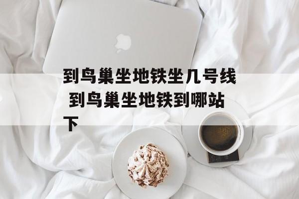 到鸟巢坐地铁坐几号线 到鸟巢坐地铁到哪站下-第1张图片-