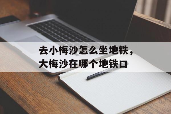 去小梅沙怎么坐地铁，大梅沙在哪个地铁口-第1张图片-