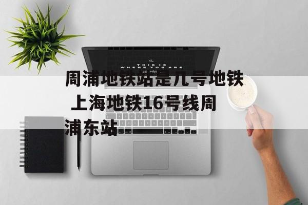 周浦地铁站是几号地铁 上海地铁16号线周浦东站-第1张图片-