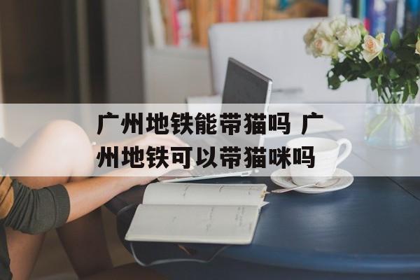 广州地铁能带猫吗 广州地铁可以带猫咪吗-第1张图片-