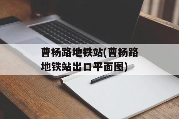 曹杨路地铁站(曹杨路地铁站出口平面图)-第1张图片-