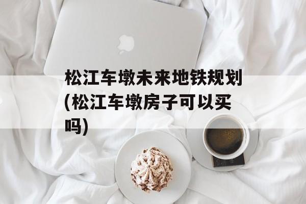 松江车墩未来地铁规划(松江车墩房子可以买吗)-第1张图片-