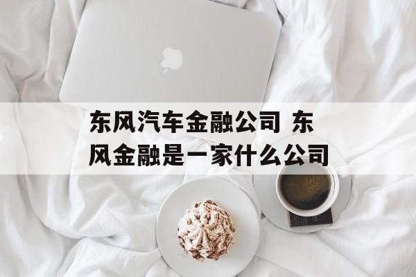 东风汽车金融公司 东风金融是一家什么公司-第1张图片-
