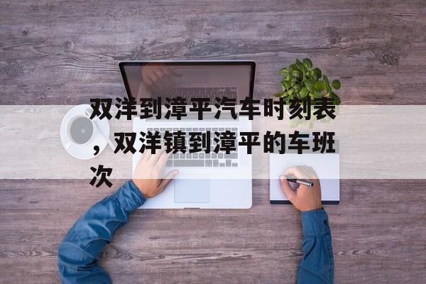 双洋到漳平汽车时刻表，双洋镇到漳平的车班次-第1张图片-