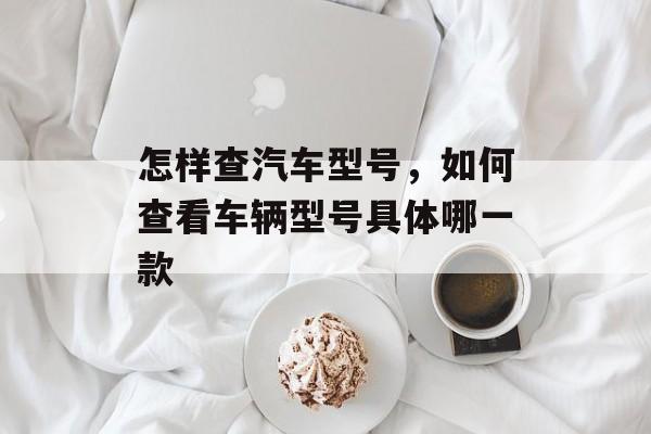怎样查汽车型号，如何查看车辆型号具体哪一款-第1张图片-