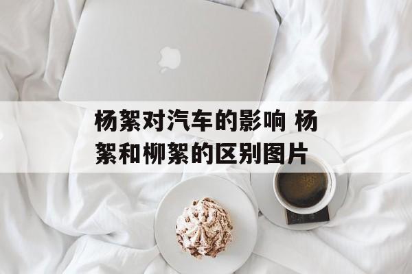 杨絮对汽车的影响 杨絮和柳絮的区别图片-第1张图片-