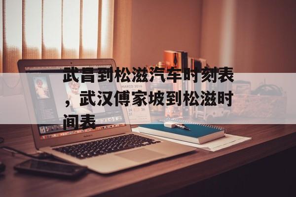 武昌到松滋汽车时刻表，武汉傅家坡到松滋时间表-第1张图片-