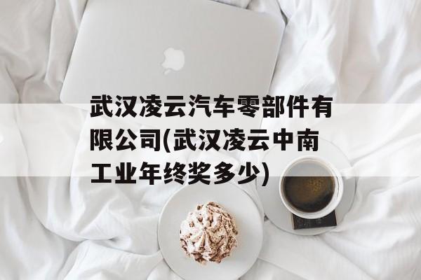 武汉凌云汽车零部件有限公司(武汉凌云中南工业年终奖多少)-第1张图片-