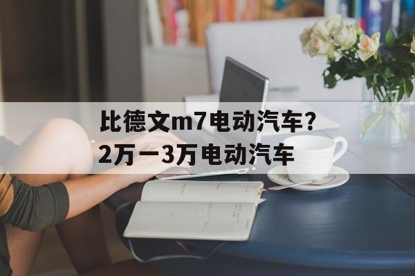 比德文m7电动汽车？2万一3万电动汽车-第1张图片-