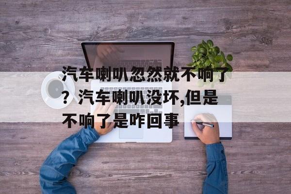 汽车喇叭忽然就不响了？汽车喇叭没坏,但是不响了是咋回事-第1张图片-
