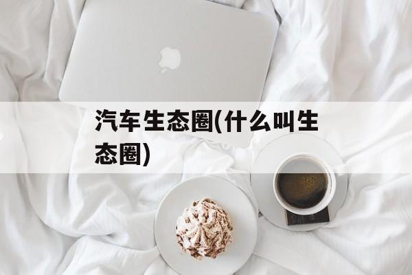 汽车生态圈(什么叫生态圈)-第1张图片-