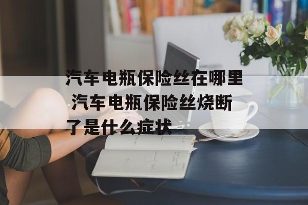 汽车电瓶保险丝在哪里 汽车电瓶保险丝烧断了是什么症状-第1张图片-