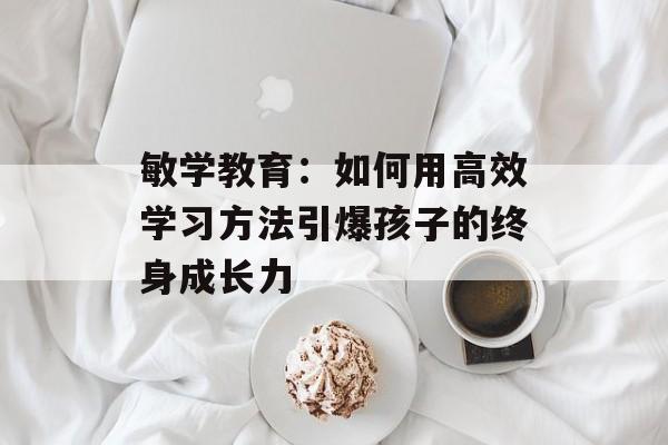 敏学教育：如何用高效学习方法引爆孩子的终身成长力-第1张图片-