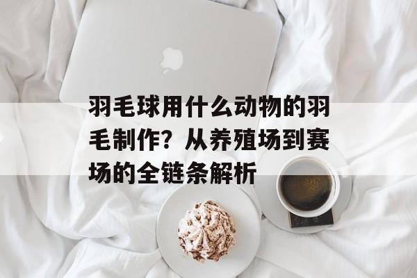 羽毛球用什么动物的羽毛制作？从养殖场到赛场的全链条解析-第1张图片-