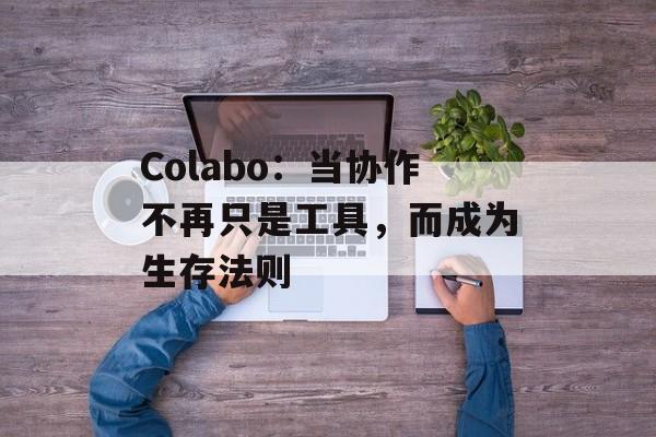 Colabo：当协作不再只是工具，而成为生存法则-第1张图片-
