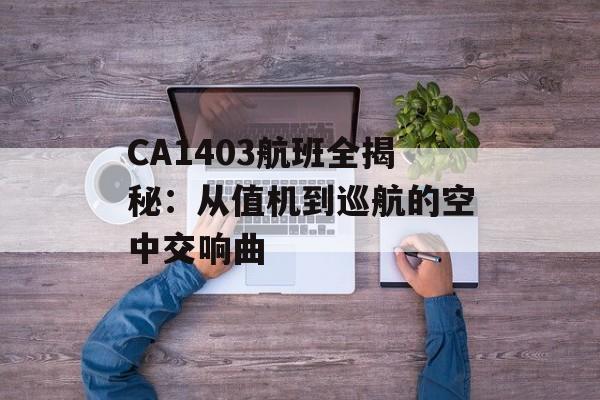 CA1403航班全揭秘：从值机到巡航的空中交响曲-第1张图片-