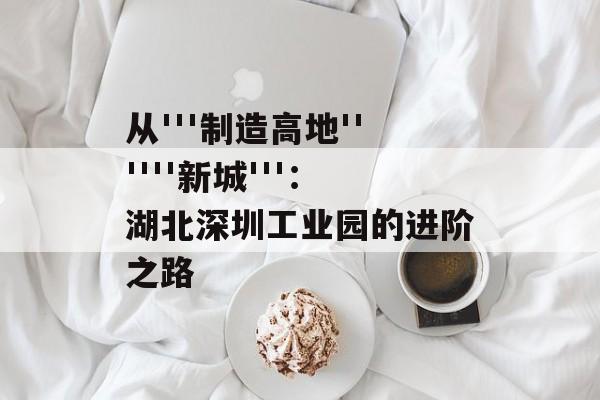 从'''制造高地''''''新城'''：湖北深圳工业园的进阶之路-第1张图片-