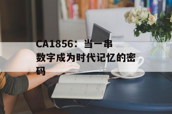 CA1856：当一串数字成为时代记忆的密码-第1张图片-